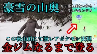 【黄金の光】雪山のジムならライト勢も楽に金ジム作れる説【ポケモンGO】