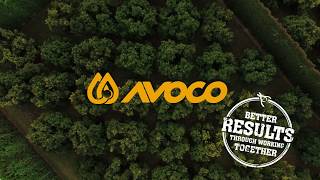 AVOCO - a visual export journey