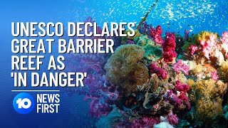 Great Barrier Reef: UNESCO Declares Reef As ‘In Danger’. I 10 News First