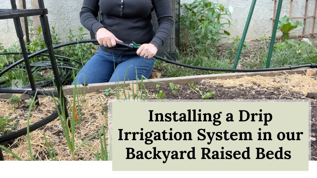 Installing A Drip Irrigation System In Our Backyard Raised Beds - YouTube