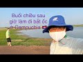 Đi bắt ốc bưu ở Campuchia , Vlog #4 - Thuận Minh Vlogs - Cuộc sống Campuchia