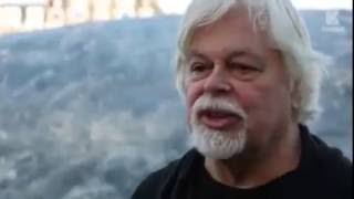 Sea Shepherd's Paul Watson  We have to stop exploiting the oceans
