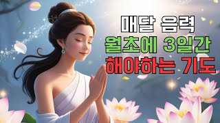 [불교발라드]요즘 저도 시작한 기도🙏 화엄경약찬게 #화엄경약찬게 #천수경 #신묘장구대다라니 #불교음악