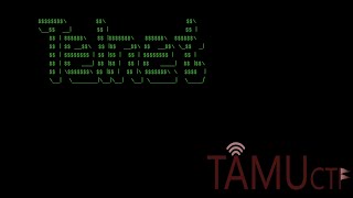 tamuctf 2019 writeup [Calculator]