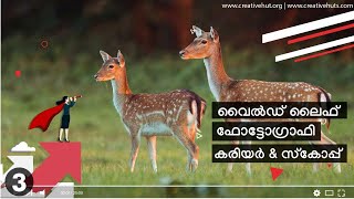 വൈല്‍ഡ്‌ ലൈഫ് ഫോട്ടോഗ്രാഫിയില്‍ ഒരു കരിയര്‍ ഉണ്ടാക്കാം? | Career and Scope in Wildlife Photography