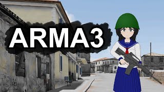 ARMA3　V鯖COOP記録20250210