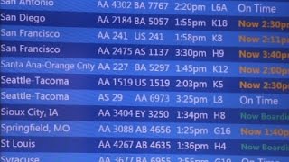 Computer Glitch Temporarily Halts AA Flights