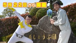 ＃164　さがCテレビ「花しょうぶ園開園２０１５」篇：佐賀市