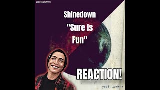 THIS WAS FUN!! |Shinedown - \