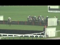 2015 Triumph Hurdle - Peace and Co - Racing TV