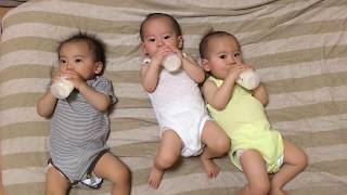 【三つ子】セルフ授乳とは？！ Triplets that drink milk by yourself