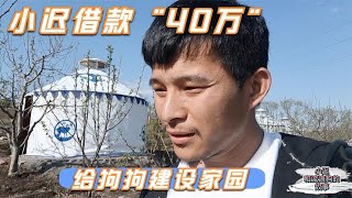 借款40万给狗狗建设家园，同时小迟开始创业了，尽力帮助更多狗狗    -Dog rescue in China- 20210511