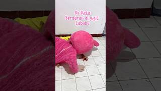 KK DISTA BERDARAH DIGIGIT LABUBU JAHAT  #shortvideo #viralvideo #trending #viralshort #shortvideo