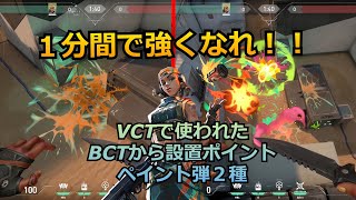 【Valorant】ほぼ1分で手札を増やせ!!VCTで使われたB設置を止める定点ペイント弾２種【レイズ】【バインド】