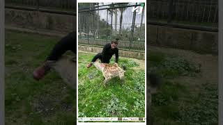 Man Pets Hyena, It Bites Him