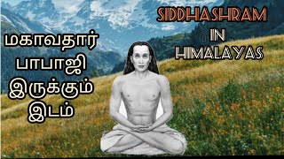 mahavatar babaji tamil - மகாவதார் பாபாஜி ஒரு தமிழர் part 4