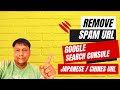 How to Remove Spam or Japanese URLs From Google search console account