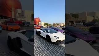 SUPER CARS RALLY IN QATAR | LAMBORGHINI CARS