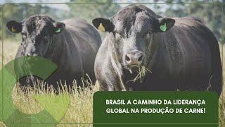 🔴 AO VIVO | GIRO DO BOI – BRASIL A CAMINHO DA LIDERANÇA GLOBAL NA PRODUÇÃO DE CARNE!