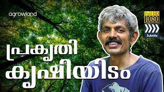 Into the Green| Episode 1| പ്രകൃതി കൃഷിയിടം| Manoj Kumar Edavanakkad