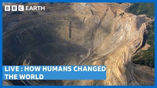 LIVE 🔴 This is How Humans Have Changed the World | BBC Earth Science