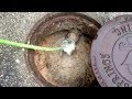 Restaurant Grease Trap Drain Cleaning