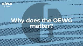 Why does the OEWG matter?