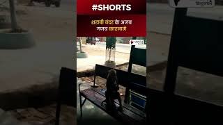 शराबी बंदर के अजब गजब कारनामे #funnyvideo #shorts #shortfeed