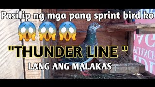 TARA SILIPIN NATIN MGA IBON KUNG PANG SPRINT RACE😁