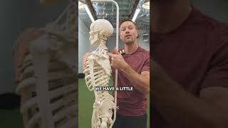 The Myth Of “Thoracic Mobility” - Stop Doing This! #mobility #posture #mobilitytraining