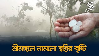 অবশেষে শ্রীমঙ্গলে স্বস্তির বৃষ্টি নেমেছে