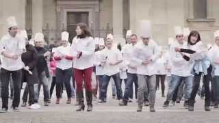 Bocuse d'Or Finale 2015 - Hungary Team Promotional Video