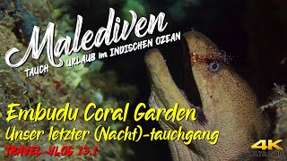 Tauchen auf den MALEDIVEN - Nachts mit Stefan im Coral Garden \