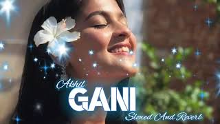 Gani Song~Akhil | slowed + reverb naw | punjabi song naw | Gani lofi song