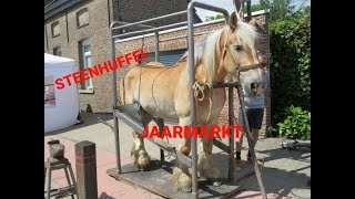 Steenhuffel jaarmarkt 2022