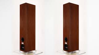 Dynaudio Excite X38 - Walnut