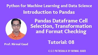 Introduction to Pandas (Tutorial 8):Pandas Dataframe Cell Selection, Transformation, Format Checking