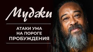 Муджи / Атаки ума на пороге пробуждения