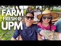 🇲🇾 Farm Fresh @ UPM Tractor Ride Tour [4K]