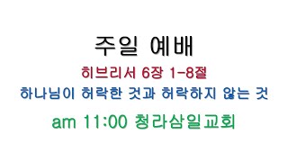 주일242/하나님이 허락한 것과 허락하지 않은 것/히6:1-8/241117 #청라삼일교회 #임형진목사