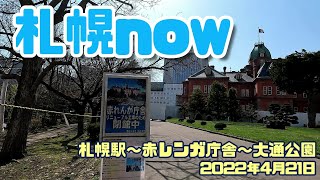 札幌now GW前もうすぐ桜の開花が始まる札幌の今　札幌駅前と赤レンガ庁舎と大通公園を歩きます　2022年4月21日