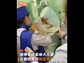 柴犬懷孕後超愛扭屁屁 「老公陪產檢」背影超認真｜tvbs新聞｜擠看看 shorts