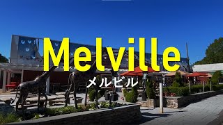 【メルビルでの暮らし】Living in Melville, NY