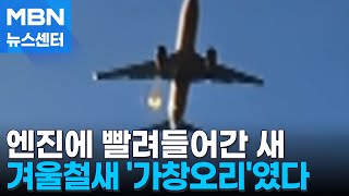 엔진서 발견된 깃털 '가창오리'로 확인…새떼 접촉도 포착 [MBN 뉴스센터]