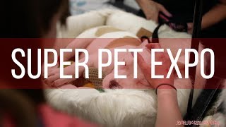 Super Pet Expo 2018 at the New Jersey Convention and Exposition Center