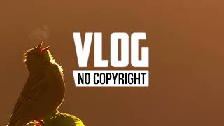 Vaxenn - High Summit [No Copyright Music]