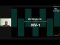 perguntas e respostas sobre hiv