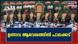 Nenmara Vallangi Vela | നെന്മാറ വല്ലങ്ങി വേലയുടെ ഉത്സവ ആവേശത്തിൽ പാലക്കട്