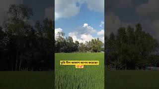 তুমি নীল আকাশ আপন করেছো 😍💞 #narsingdi #indonesia #bangladesh #viral #youtube #shibpur #japan #india