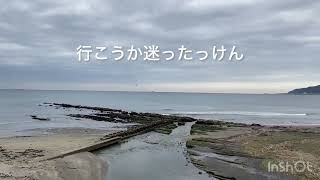 おーやっぱり。。。平砂浦波情報